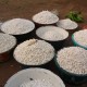 Market10_Muyiwa Adekanye thumbnail